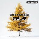 나무미술교습소 - 양평군 북부길 13 | 나무미술교습소