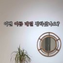 네일드벨라