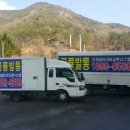 공룡발통 이미지