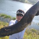 (주)덴토스 이미지