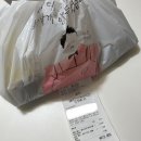 생선선생 이미지