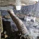 원종동 금호 어울림 | 욕조 배관 연결부위 부속 깨짐 이탈된 배수구트랩 교체 업체 원종동금호어울림