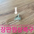 문산모텔 | 장판 부분보수 찍힌 손상 부위 완벽 복원!