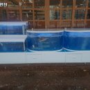 어부의만찬A | 어부의만찬 경기 용인 회 추천