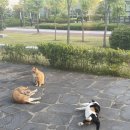 진현푸드 이미지