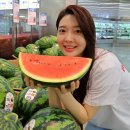 롯데마트 이미지