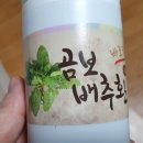 곰보배추 이미지