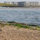 신양섭지코지해변 이미지