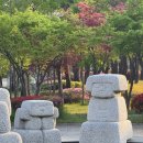 우진약국 | 2025 4월 제주
