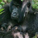 gc-camera-010 이미지