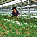 대성푸드 이미지