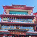 차이나연경 이미지