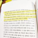 유리알유희
