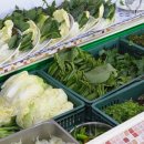 청풍명월 이미지