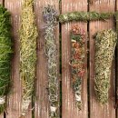 큐브스틱 이미지