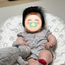 베어푸드 티스토리