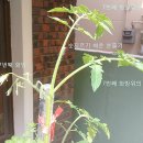 방주농장 이미지