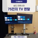 오르투스게임즈 이미지