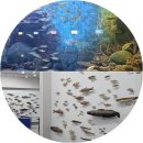 우리유치원-2구간 | 기장 수산과학관 해양박물관 찐 관람 후기. 부산 아이와 가볼만한곳 1시간 소요 리스트업