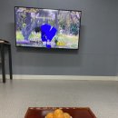 피라미드 구들 황토방 이미지