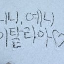 청년피자(수영구점) | 🤠할렐야루 이탈리아🤠 로마/피렌체/베네치아/돌로미티/밀라노