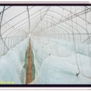 충열농장 이미지