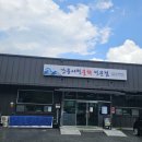 강릉사천물회양평점