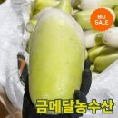 무 이미지