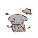 바이올독 - 수성구 동대구로 19 | 바이올독