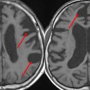 건강한뇌신경과의원 이미지