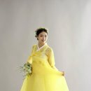 비단궁 이미지
