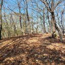 대대3리 이미지