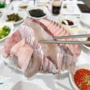 조일식당 | 백반기행 여수맛집 남해여행 여수여행 선어회맛집 조일식당 후기리뷰공유해요 여수현지인맛집 선어회뜻...