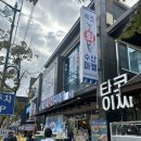 속초회수산 | 속초 중앙시장 회포장 추천 속초회수산마켙 내돈내산 후기