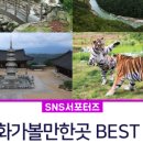 강변카 프라자 이미지