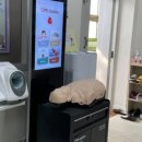 용북중학교(기숙사) 이미지