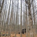 남동목장 이미지