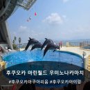 고래와 신사(더 마린) | 일본 후쿠오카 필수 코스 아쿠아리움 마린월드 우미노나카미치 모모치해변으로 페리 타는 법
