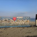 명태의 꿈(아트벤치 이미지