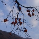 우애3농장 이미지