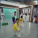 다온태권도 이미지