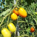 우신메디칼 이미지