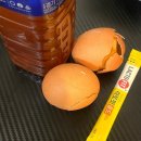 숲속의다이어트캠프 59, 60일차 (코레일톡 매진 뚫기 달인)