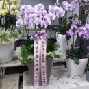 성주경북약국 이미지