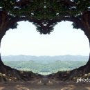 임천면행정복지센터 이미지