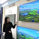 텐텐랜드 이미지