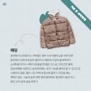 햇빛세탁 이미지
