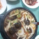 벌교우렁 Daum카페