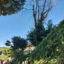 고삼면사무소 이미지