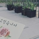 이*렬 이미지
